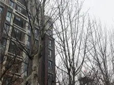 天塔街 · 蕴逸园 · 5室 · 3厅