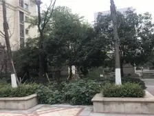 1T2端户洋房,楼层佳、视野好,拎包入住