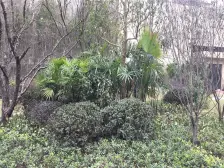 精装两房,次新小区,环境优美,价格可谈,诚心出售
