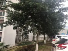 鱼洞 帝豪富达城三房41万