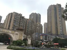 照母山 金鹏金岭二房110万