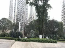 中渝春华秋实三期 1室0厅 东南