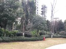 金科洋房 前后花园90平 带地下室 位置安静 适合居家