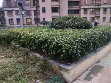 中环和润苑2室南朝向399.00万元/套出售