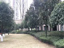 大学城金科廊桥小高层 楼层高 视野好