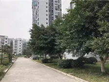 东本依山郡 1室1厅 南