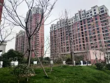 近滨江 近地铁口 户型方正,精装修,楼层好