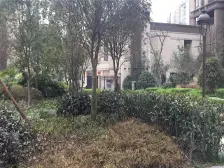 一楼温馨两房,推窗见绿,把自然搬进家,