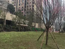 户型方正,视野开阔,可以直接拎包入住。
