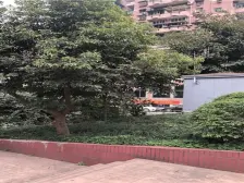 轨道房 精装修 业主很安心出售价格面议