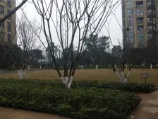 远洋香派 2室1厅 南