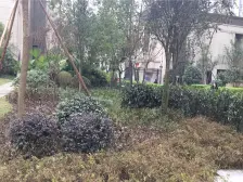 协信城立方一期 4室1厅 南