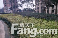 精装修,采光无遮挡,房间的阳光从晨曦到夕阳