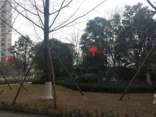 石桥铺 远洋香派二房63万