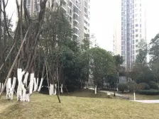 精装单配+配套成熟+业主诚心+出行方便