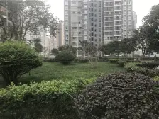 两江慧谷 1室1厅 东南