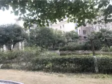 北部新区 英利狮城花园三房185万