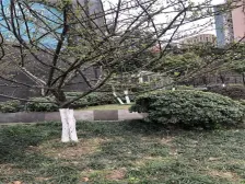 此房在袁家岗奥体广场边上,采光好配套齐全,拎包入住