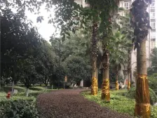 龙头寺三轻轨 住家装修一改二 拎包入住