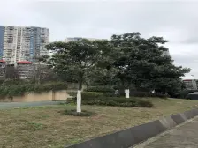 高新区 上城奥悦二房80万