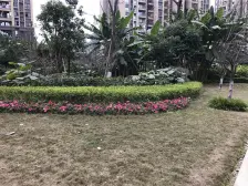 南滨路上,,视野好,三梯五户,交通方便