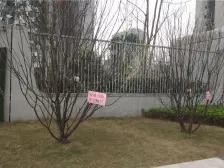 巴宾路融汇半岛水晶公馆 居家安静 出行便利