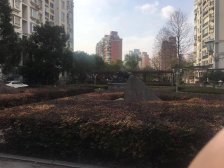 文化花园香榭丽苑 3室2厅 南