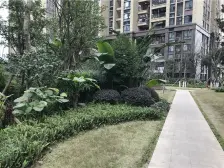 此房一线看江无遮挡,看菜园坝大桥 户型方正,采光好