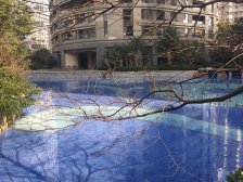 徐家汇 有钥匙 安静 老房东 有性价比 花园高档小区 采光好