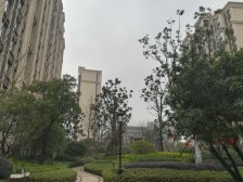 电梯房,大两房,小区中心位置,近地铁,刚需好房,价格好谈