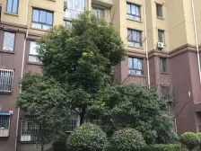 2012年小区、高区、一房空间 利用高 低总价门槛