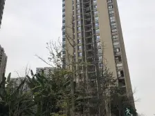 花样派看湖三房双卫,精装带玄关,金辉广场旁