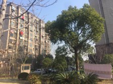 7号线地铁口 南北大两房 总高11楼电梯房 户型方正