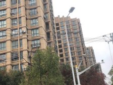 塘和家园德悦苑 1室1厅 南