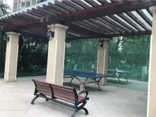 金辉城花样派 3室2厅 东 西北