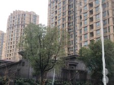 塘和家园德悦苑 3室1厅 东