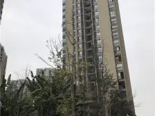 精装2房,保持很好,住家安静 诚售 ,看房约