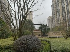 外环边,次新联排别墅,有地下室,有花园,有钥匙