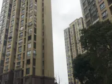 电梯中高层 户型好 带产权车位 视野开阔