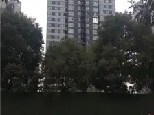 户型方正 看江 看公园 视野开阔 诚心出售