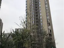 金辉城花样派次新小区,此房是清水