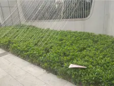 融汇半岛水晶公馆 3室2厅 东南