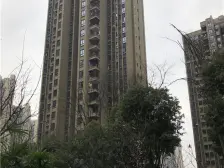 金辉城花样派 2室1厅 西北