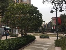 电梯房,无抵押 精装,必看好房
