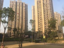 电梯房,主卧朝南,环境优美,品质小区