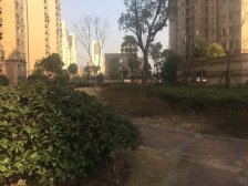 小区中间位置 大面积电梯两房 业主诚心出售