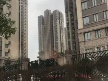 双轨交,洞泾外国语/华二,毛坯两房