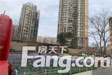 中粮锦云 2室2厅 西南 东南 东南