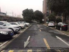 近地铁9号线佘山站+交通配套好+配套成熟+视野好