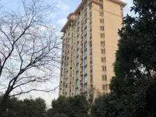 佘山站300米,园林小区,全南阳光房,俯瞰别墅群